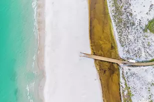 409 Coopersmith Lane, Inlet Beach, FL 32461 - Photo 89