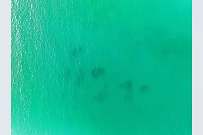 409 Coopersmith Lane, Inlet Beach, FL 32461 - Photo 93