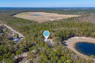 482 Cat Island Rd, Defuniak Springs, FL 32433 - Photo 47