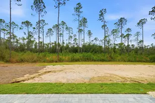 323 Suwannee Dr, Inlet Beach, FL 32461 - Photo 25