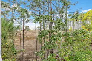 9201 Market Street Inn, Miramar Beach, FL 32550 - Photo 25