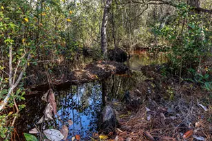59 Chelsey Ln, Santa Rosa Beach, FL 32459 - Photo 39