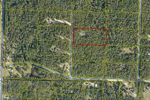 Tbd Live Oak Ln, Defuniak Springs, FL 32433 - Photo 1