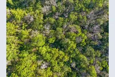 21 Acres Rock Hill Road, Ponce de Leon, FL 32455 - Photo 9