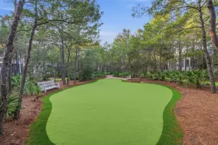 92 Coopersmith Lane, Inlet Beach, FL 32461 - Photo 59