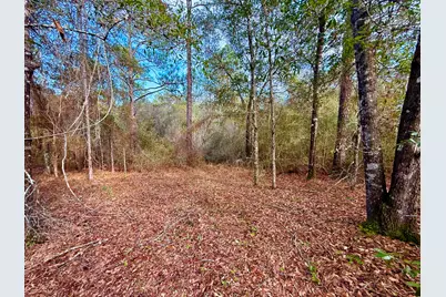 81 Puccini Drive, Defuniak Springs, FL 32433 - Photo 5