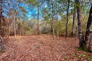 81 Puccini Dr, Defuniak Springs, FL 32433 - Photo 5