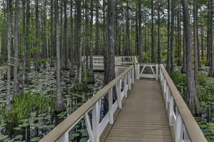 83 Cypress Walk, Santa Rosa Beach, FL 32459 - Photo 77