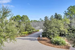 83 Cypress Walk, Santa Rosa Beach, FL 32459 - Photo 43