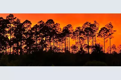 62 Tamoka Court, Inlet Beach, FL 32461 - Photo 57