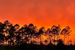 62 Tamoka Ct, Inlet Beach, FL 32461 - Photo 57