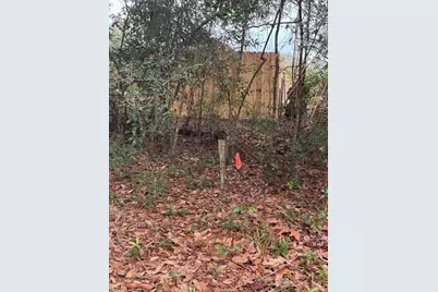 1.3 Acres Cricket Lane, Crestview, FL 32539 - Photo 5