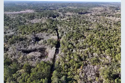 160 Louie Miller Road, Ponce de Leon, FL 32455 - Photo 9