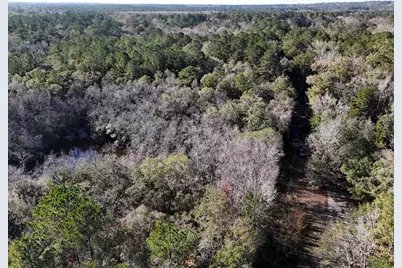 160 Louie Miller Road, Ponce de Leon, FL 32455 - Photo 3