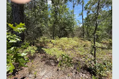Lot 38 Blk 68 On Clearwater Drive, Defuniak Springs, FL 32433 - Photo 5