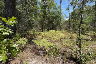 Lot 38 Blk 68 On Clearwater Dr, Defuniak Springs, FL 32433 - Photo 5