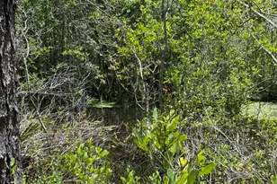 Lot 39 Blk 68 On Clearwater, Defuniak Springs, FL 32433 - Photo 3