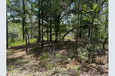 Lot 39 Blk 68 On Clearwater, Defuniak Springs, FL 32433 - Photo 5