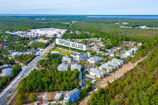 25 S Wildflower Dr S, Santa Rosa Beach, FL 32459 - Photo 33