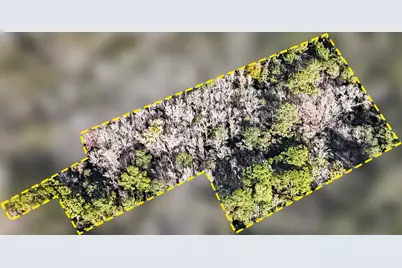 0 St Hwy 81, Ponce de Leon, FL 32455 - Photo 3