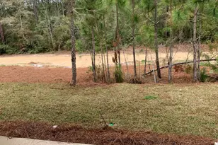 142 N Sand Palm Road N, Freeport, FL 32439 - Photo 11