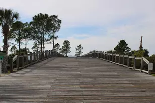 774 Backwater Rd, Port Saint Joe, FL 32456 - Photo 61