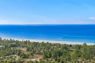 774 Backwater Rd, Port Saint Joe, FL 32456 - Photo 53