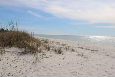 774 Backwater Road, Port Saint Joe, FL 32456 - Photo 65