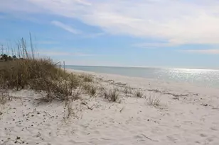 774 Backwater Rd, Port Saint Joe, FL 32456 - Photo 65