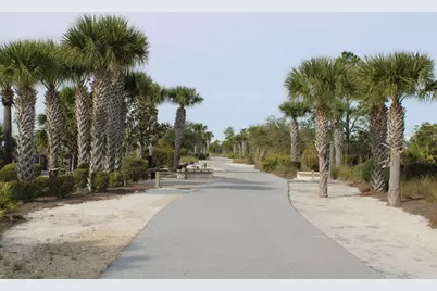 774 Backwater Road, Port Saint Joe, FL 32456 - Photo 63