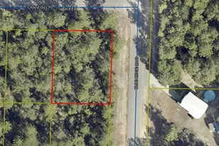 Lot 5 Cranebill Pl, Defuniak Springs, FL 32433 - Photo 1