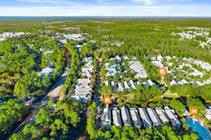 44 E Royal Fern Way E, Santa Rosa Beach, FL 32459 - Photo 51