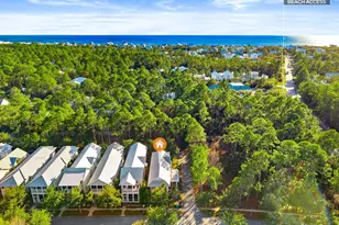 44 E Royal Fern Way E, Santa Rosa Beach, FL 32459 - Photo 59