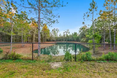 235 Date Palm Lane, Freeport, FL 32439 - Photo 41