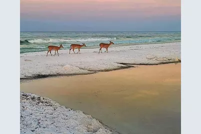 247 N Bishop Road N, Santa Rosa Beach, FL 32459 - Photo 49