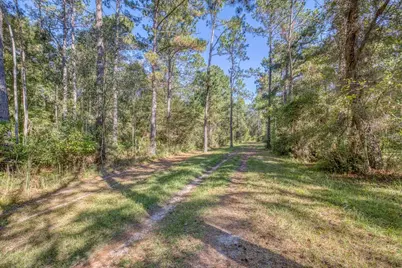 1650 Bear Bay Flats Rd Road, Laurel Hill, FL 32567 - Photo 17