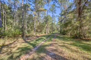 1650 Bear Bay Flats Rd Rd, Laurel Hill, FL 32567 - Photo 17