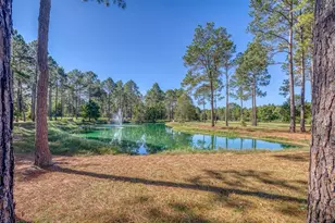1650 Bear Bay Flats Rd Rd, Laurel Hill, FL 32567 - Photo 47