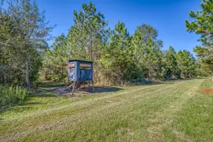 1650 Bear Bay Flats Rd Rd, Laurel Hill, FL 32567 - Photo 33