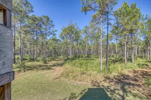 1650 Bear Bay Flats Rd Rd, Laurel Hill, FL 32567 - Photo 27
