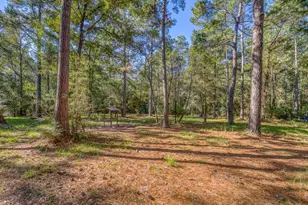 1650 Bear Bay Flats Rd Rd, Laurel Hill, FL 32567 - Photo 13