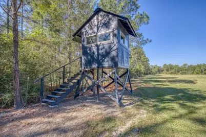 1650 Bear Bay Flats Rd Road, Laurel Hill, FL 32567 - Photo 3