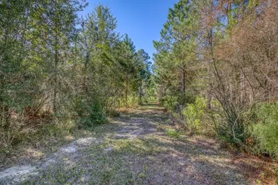 1650 Bear Bay Flats Rd Road, Laurel Hill, FL 32567 - Photo 35