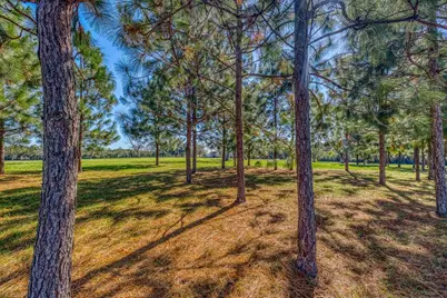 1650 Bear Bay Flats Rd Road, Laurel Hill, FL 32567 - Photo 63