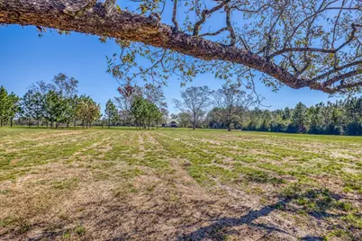 1650 Bear Bay Flats Rd Road, Laurel Hill, FL 32567 - Photo 65