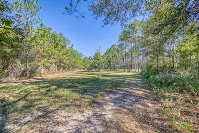 1650 Bear Bay Flats Rd Road, Laurel Hill, FL 32567 - Photo 23