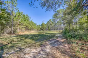 1650 Bear Bay Flats Rd Rd, Laurel Hill, FL 32567 - Photo 23