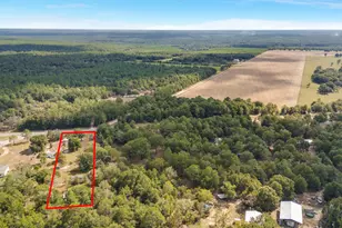 5783 County Road 1087, Defuniak Springs, FL 32433 - Photo 11