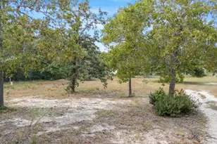 5783 County Road 1087, Defuniak Springs, FL 32433 - Photo 3