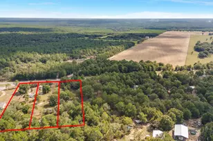 5783 County Road 1087, Defuniak Springs, FL 32433 - Photo 9